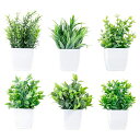 WILLINGYOU6点セットミニ観葉植物フェイクグリーン造花お世話不要卓上室内ギフト