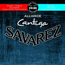 SAVAREZ サバレス クラシックギター弦 510-ARJ