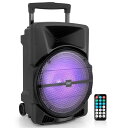 パイル12”ポータブルBLUETOOTHスピーカーシステム-800ワット-最新のDJLEDライト、USB/FM/BT/AUX/リモコン/マイク入力&内蔵充電式バ...