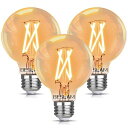 BESLAM LED電球 エジソン電球 調光器対応 E26 60W形相当 電球色 2700K 806LM LED 調光 電球 フィラメント電球 エジソンランプ ...