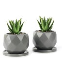 UMLACA植木鉢多肉植物鉢陶器鉢プランター小型底穴ありミニ鉢植えサボテン鉢ミニ植木鉢おしゃれ陶器受け皿付き鉢底ネット付き2点セット植物なし(グレー)