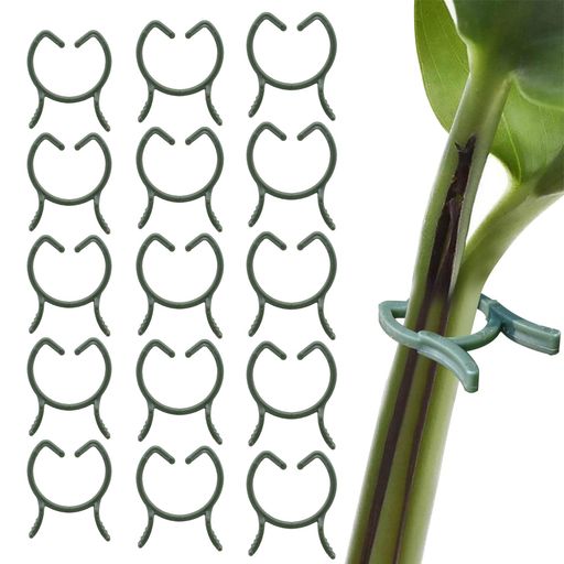 PAVIKE洋蘭植物用クリップ60個入り植物支柱クリップ園芸クリップ接ぎ木クリップ支柱誘引クリップ耐久性..