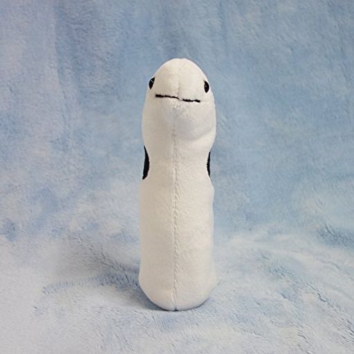内藤デザイン研究所 海中散歩 おともだちビーンズ ぬいぐるみ チンアナゴ 高さ15cm