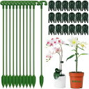 洋蘭植物用クリップ植物支柱クリップ園芸クリップ25個セット植物支柱クリップ植物サポート園芸支柱花支え15個セット27cmフレキシブルなデザイン接ぎ木クリップ簡単設置着脱可能胡蝶蘭…