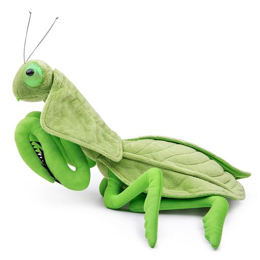 lilizzhoumax