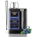 ECENK 電子タバコ 使い捨て VAPE ベイプ 7500回吸引可能 シーシャ 10風味 爆煙 TYPE-C充電可能 大容量 持ち運び 特製リキッド 水蒸気た...
