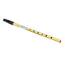 アイリッシュティンホイッスル管楽器正確なチューニング6(Cチューン)