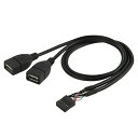 CYケーブルマザーボード9ピン10ピンマザーケースからデュアルUSB2.0マザーA型ケーブル50cm