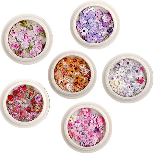 6åȶͥ륢ȥѡ3Dͥ륢ȥǥѡĥۥॸͥİΩΥͥѥ奨꡼ѡDIYꥯեȥġ