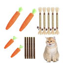猫 玩具 猫 玩具 一人遊び 木天蓼ボール 猫 噛み癖 猫噛みぐるみ 猫人参玩具 運動不足対策 肥満解消 猫のおもちゃ 猫 歯磨き 玩具