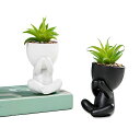 FORUIRUI 【2個セット】人工観葉植物 シミュレーション多肉植物 陶器の卓上鉢植え フェイクグリーン 可愛い室内テーブル装飾