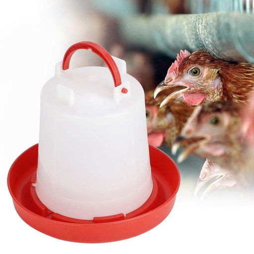 ܤαȢưܤεȶ٤ΤμŪ10ĤιŪʷ(5L)