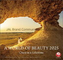 JAL「A WORLD OF BEAUTY」(普通判) 2025年 カレンダー 壁掛け CL25-1132