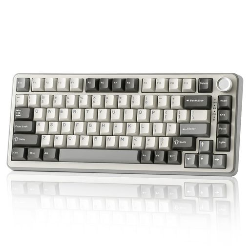 YUNZII B75 PRO 75% ガスケットゲーミングキーボード 無線メカニカルキーボード BT/2.4G/有線 ワイヤレス ホットスワップ 搭載 RGB ノブ付きカスタムキーボード Mac/Win用 技適認証取得 (グレー, ミ…