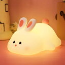 かわいいウサギ、子供の夜ライト、調光機能付きカワイイウサギランプタッチライト、充電式30分自動オフ面白いバレンタインデー誕生日プレゼント女性十代の女の子の男の子の幼児-ポー…