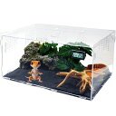 Niesporek爬虫類トカゲケージカナヘビ飼育ケースレプタイルボックス温度湿度計付き飼育容器アクリル給餌箱透明通気ケージ昆虫飼育ケース給餌ケージ換気が良い爬虫類テラリウムタンク亀…