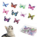 SONGWAY 猫おもちゃ 蝶々 交換用 10チョウチョ 収納ボックス付き