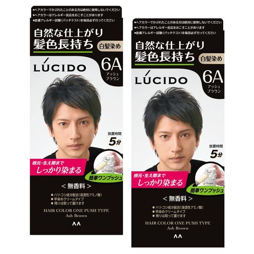 LUCIDO(ルシード) 【まとめ買い】ワンプッシュケアカラー(医薬部外品) メンズ用 シ...