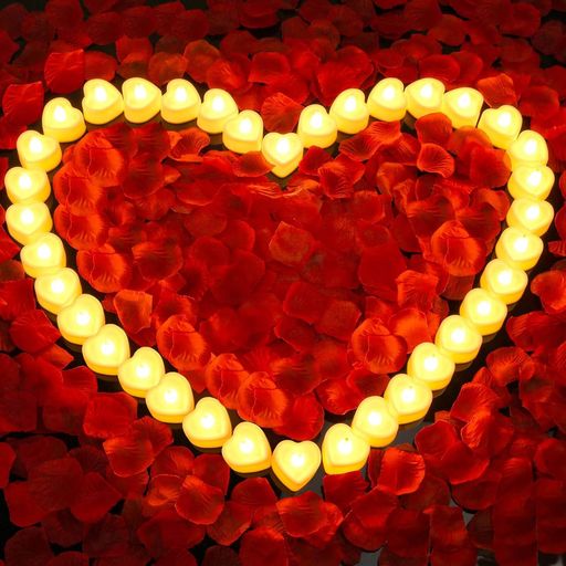 TigwissLEDɥ饤ȥϡȷ24Ĳ֤Ӥ1000祻åȷ뺧ꥹޥϥȿ̵ФȤʤʥ...