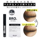 髪 眉 ヒゲ用 メンズ 白髪隠し BRO.FOR MEN Quick Mascara 男性用 クイックマスカラ
