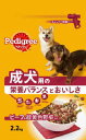 訳あり賞味期限2025.07!ペディグリーチャム 成犬用 旨みビーフ&緑黄色野菜入り 2.2kg