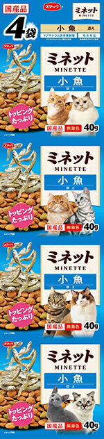 スマック Minette(ミネット) 小魚添え 