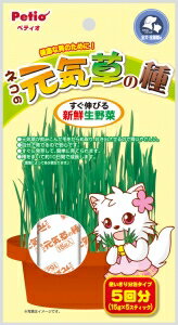 Petio(ペティオ) ネコの元気草の種 15g×5本 北海道、東北、沖縄地方は別途送料あり