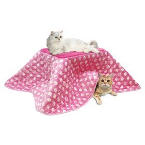 数量限定!マルカン あったかこたつ猫用M用ふとんセット猫和柄(替えふとんのみ) 季節商材の為品切れの場合がございます。ご了承下さい。
