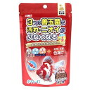 イトスイ コメット 金魚の主食納豆菌 色揚げ 中粒 90g 浮上性
