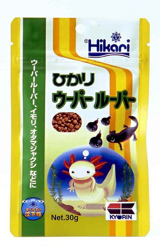 キョーリン ヒカリ ウーパールーパー 30g 北海道 東北 沖縄地方は別途送料あり