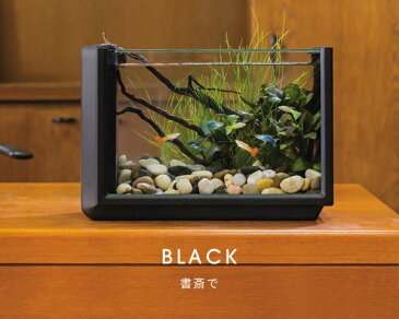 コトブキ工芸 Views(ビュース) ブラック