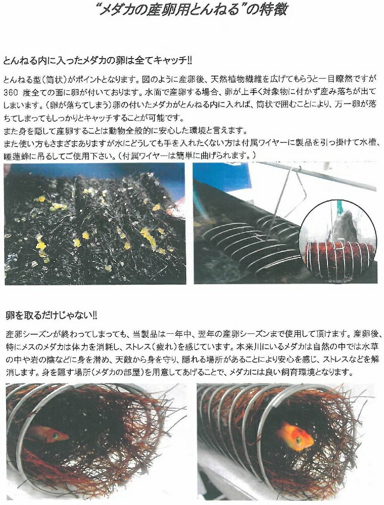 サンミューズ メダカの産卵用とんねる 2個