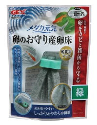 GEX(ジェックス) メダカ元気 卵のお守り産卵床 緑 北海道、東北、沖縄地方は別途送料あり