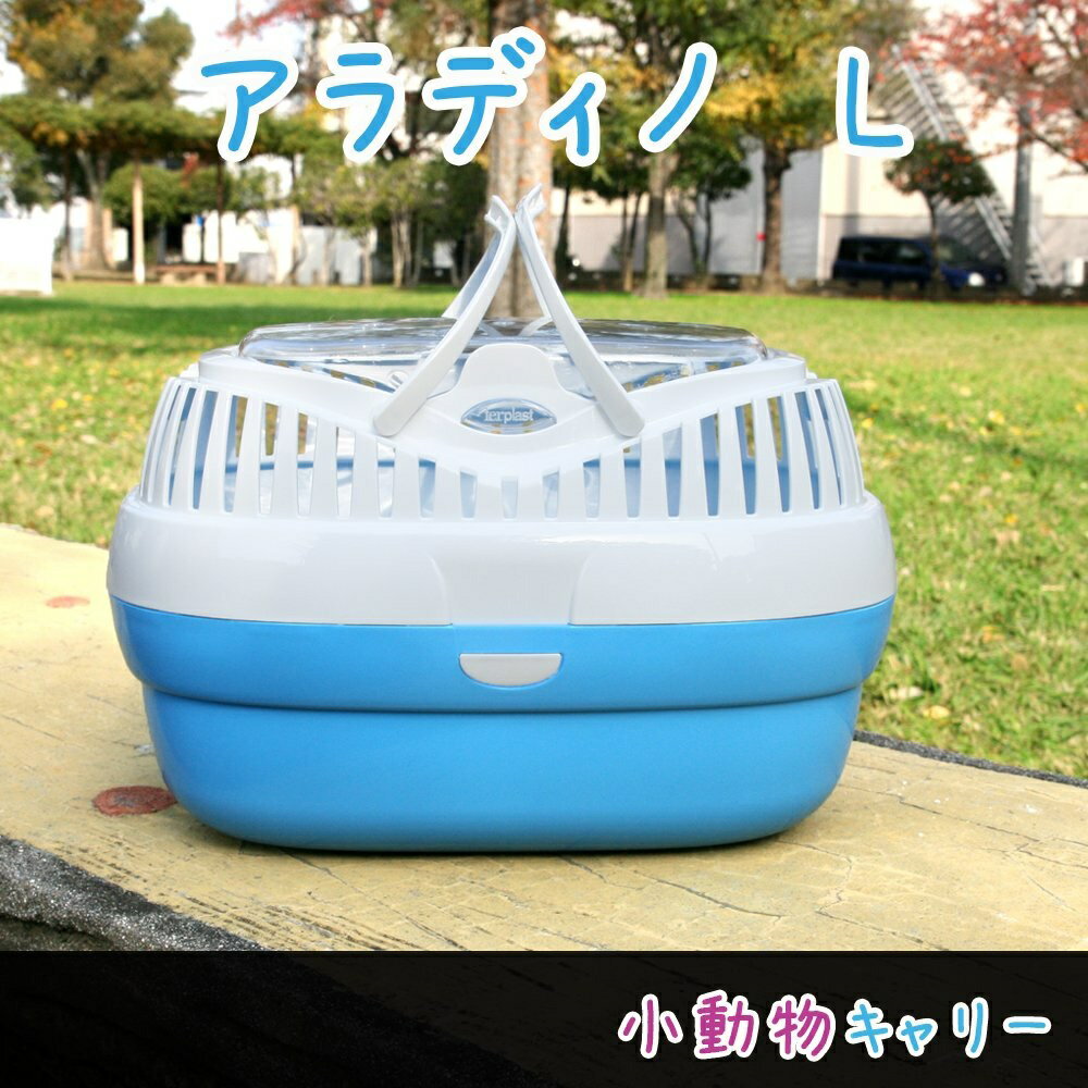 限定商品!ファープラスト アラディノ ブルー Lサイズ/★税抜1万円以上で(北海道、沖縄、一部地方除く)★ 限定商品!ファープラスト アラディノ ブルー Lサイズ/★税抜1万円以上で(北海道、沖縄、一部地方除く)★