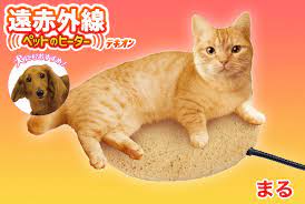 数量限定!DoggyMan(ドギーマン) ペッ...の紹介画像2