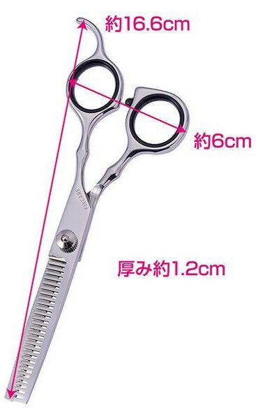 Petio(�ڥƥ���) �����褬ͥ�����������Х���