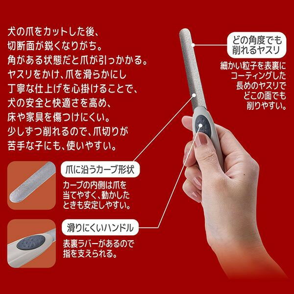 Petio(�ڥƥ���) ���ޤ��ä������롡�ͥ���䥹��