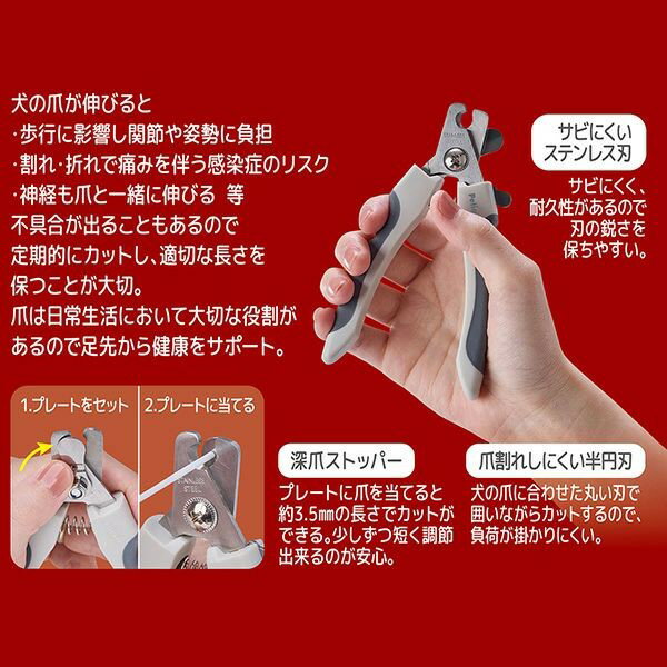 Petio(�ڥƥ���) �����ޥ����ɥץ졼���եͥ���˥åѡ�