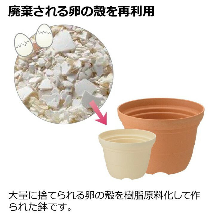 ���ꤪ�㤤������å�����(Richell) �Ҥ�ä��ݥå� 7�� �١�����