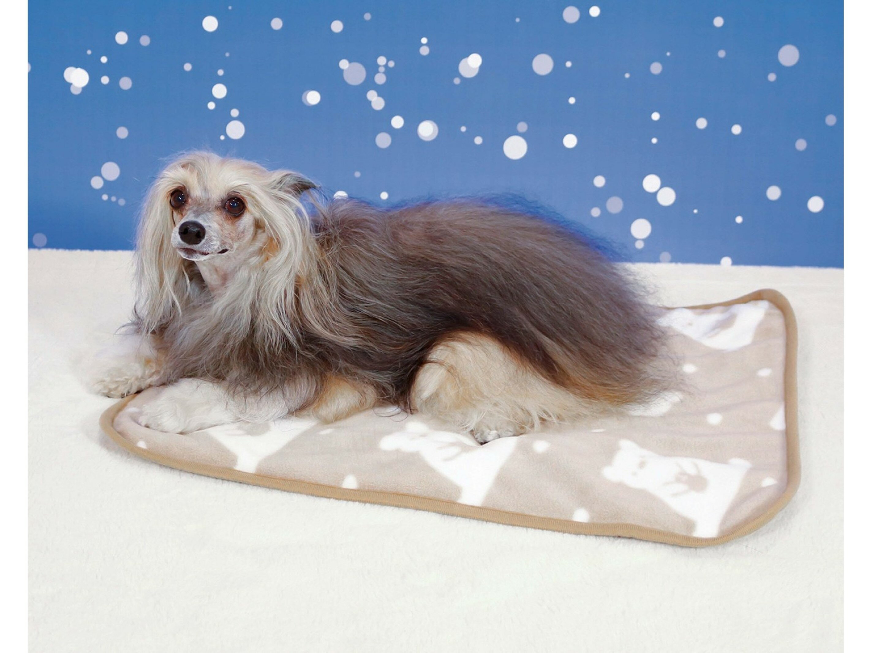 �������侦�ʡ� DoggyMan(�ɥ����ޥ�) �ۤä��ꤢ�ä����ޥåȡ�M���̤��̤��٥��⥫