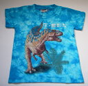 限定商品! KIDS Tシャツ 10-12サイズ (no.370)
