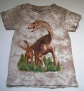 限定商品! KIDS Tシャツ 1-2サイズ (no.373)