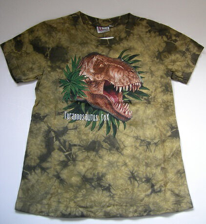 樂天商城 - 限定商品！ KIDS Tシャツ 8-10サイズ (no.374)