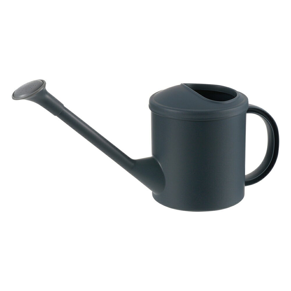 限定販売商品！ リッチェル ミニじょうろN ブルー (1-70331) (2601)