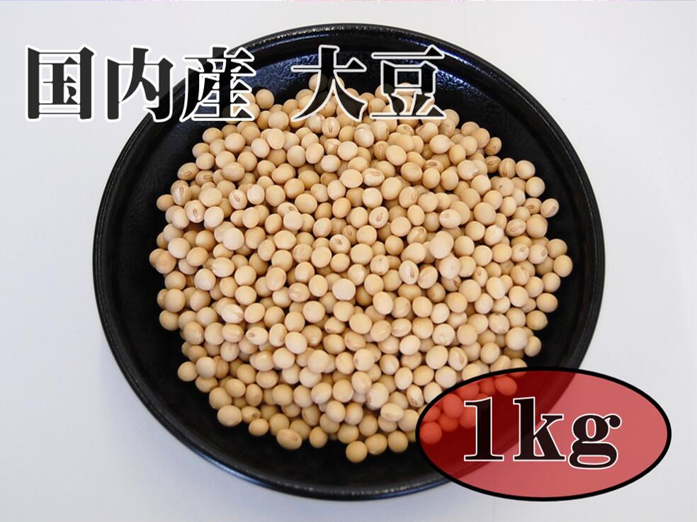 愛晃 大豆 国内産 1kg