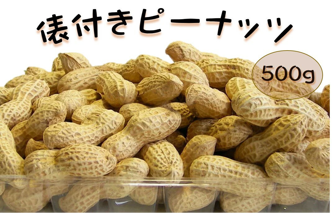 俵付き ピーナッツ 500g (殻付 落花生 から付 おつまみ おやつ つまみ ナッツ)