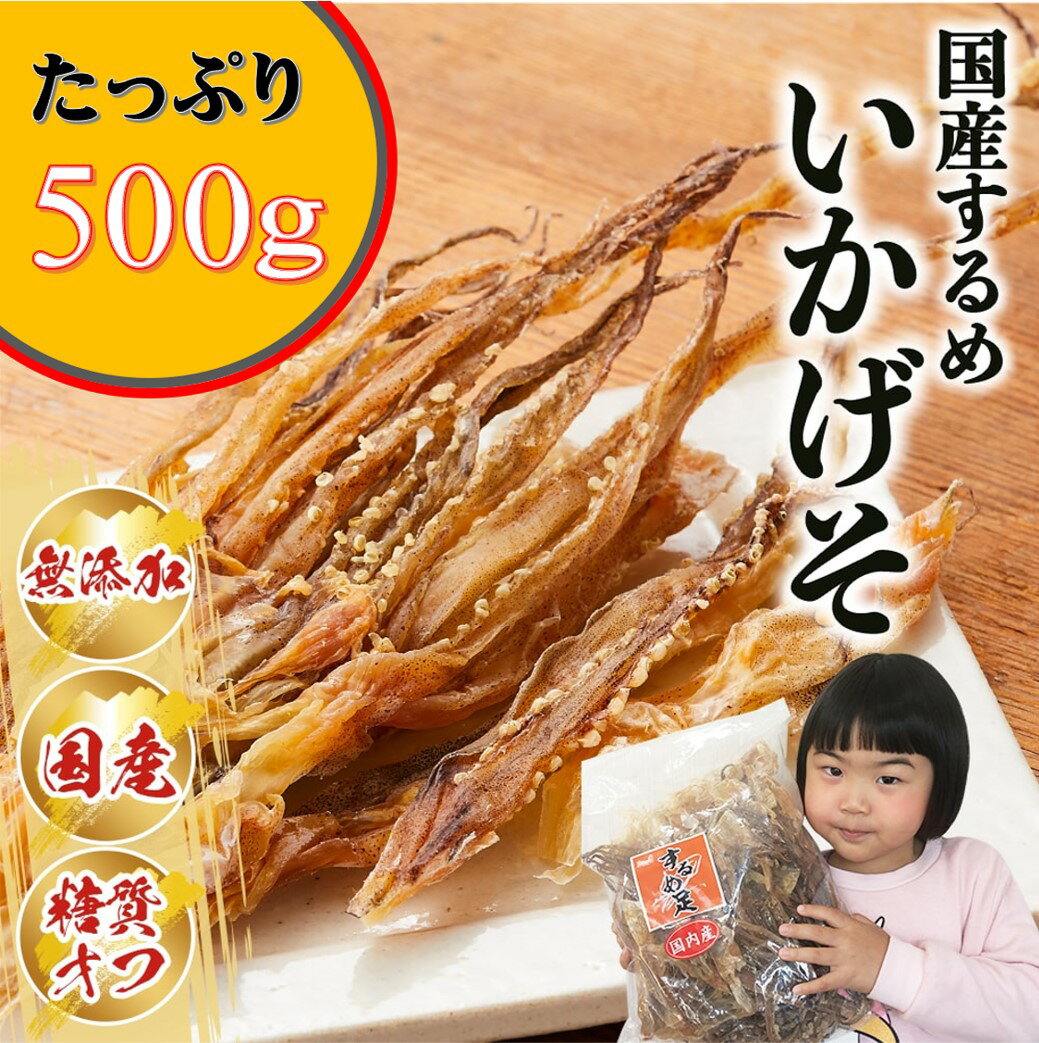 愛晃 素干し足 するめ足 500g サイズが小さくなりました 国内産 国産 するめ おつまみ ゲソ げそ 珍味 いかげそ いか 北海道 東北 沖縄地方は別途送料あり