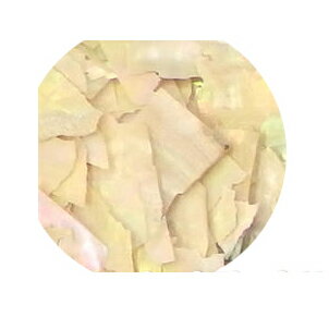 ネイル　シェルフレーク01 【マザーオブパール】約1g　ケース入り　クラッシュシェル 貝殻　超薄！薄いからキレイに埋め込みが出来ます♪