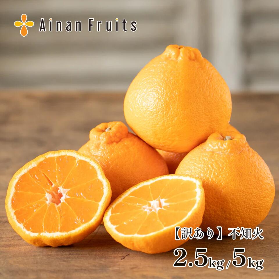【訳あり】愛南フルーツ 不知火 サイズ混合 外皮キズあり 愛媛県愛南町産 農家直送 2.5kg/5kg