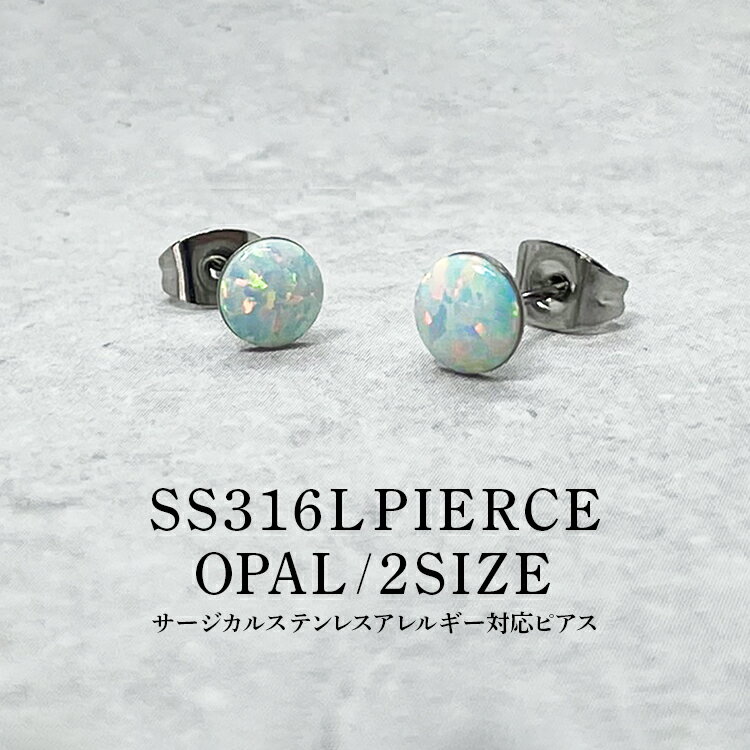 ԥ ǥ °륮б 륹ƥ쥹 SS316L ѡ 1γ 5mm 6mm 2 2ĥå ξ ...
